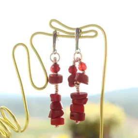 Clous d'oreilles acier et gorgone et agate rouge