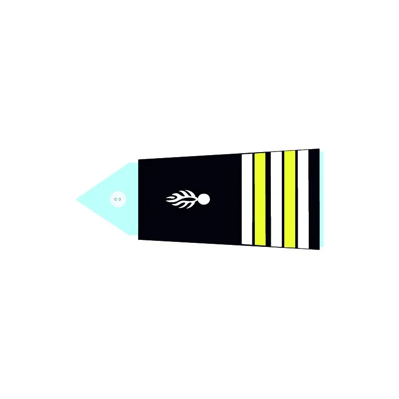 Fourreaux rigides CTA - Lieutenant Colonel (F)