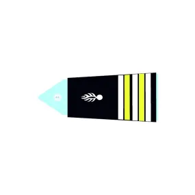 Fourreaux rigides CTA - Lieutenant Colonel (F)