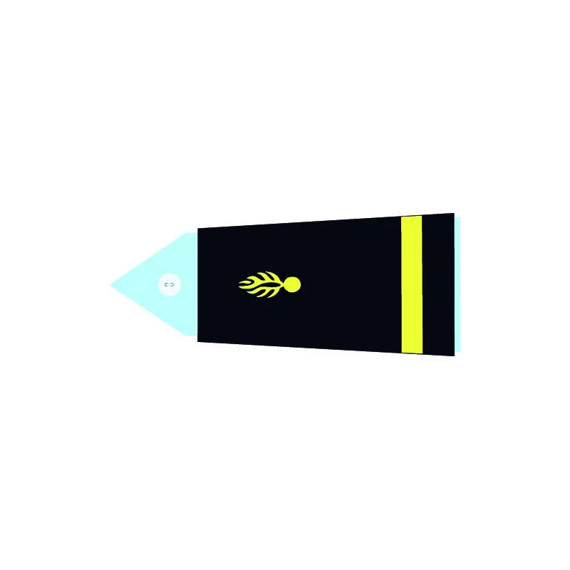 Fourreaux rigides GR - Sous Lieutenant (H)